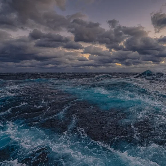 UNLISTED FLYER - Picture 1 of 1